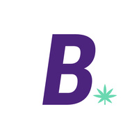 Medium b fondo blanco